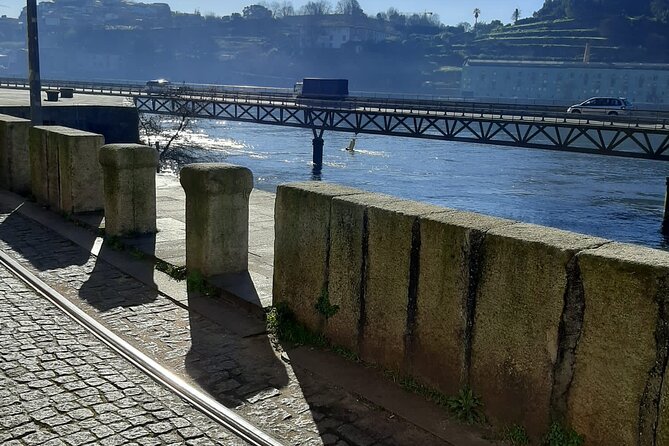 Educational Douro Valley Wines Tasting in Porto - Accessibility Information
