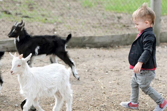 Educational Farm Adventure Tour on Bainbridge Island - Good To Know