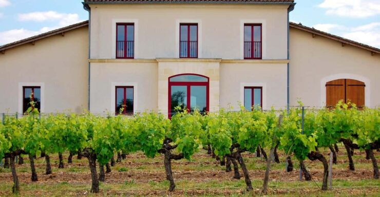 Educational Hiking in Bordeaux Vineyard - Key Points