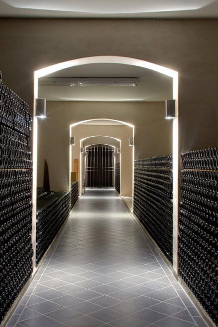 Educational Hiking in Bordeaux Vineyard - Inclusions