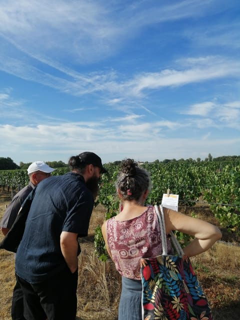 Educational Hiking in Bordeaux Vineyard - Participant Information