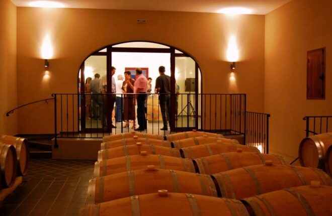 Educational Hiking in Bordeaux Vineyard - Restrictions