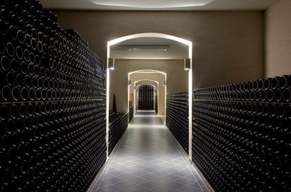 Educational Hiking in Bordeaux Vineyard - Questions You May Have