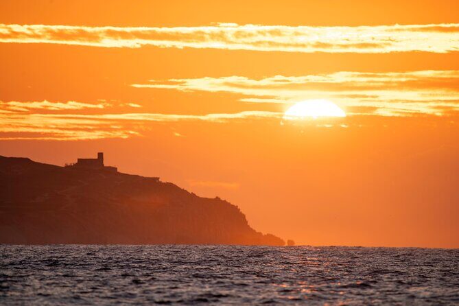 Educational Sunrise Whale Watching with Photos Included - A Detailed Breakdown of the Experience