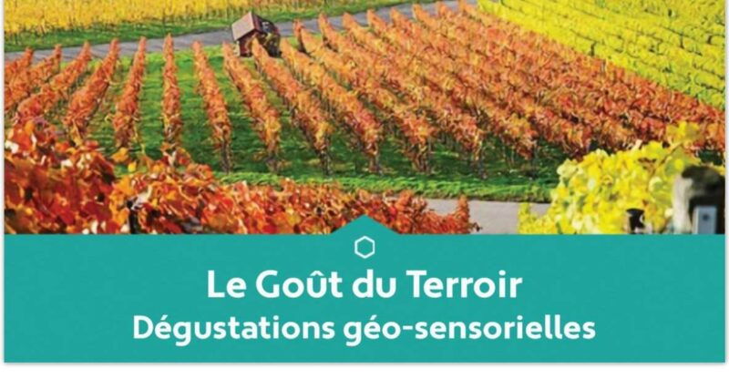 Educational Tasting of 3 Champagnes From Winegrowers - Good To Know