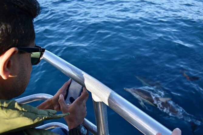 Educational Whale Watching Tour from Perth - Review Insights and Authentic Perspectives