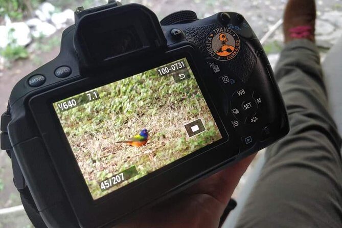 Edzná, the house of the Itzaes - Practical Details That Make or Break Your Experience