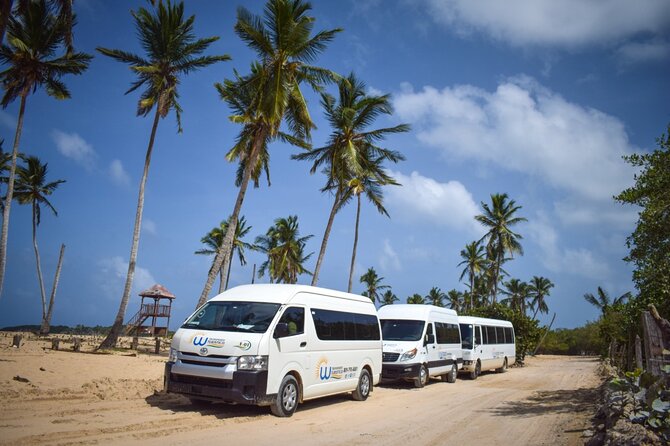 Effortless Airport Transfers in Punta Cana - Negative Review and Response