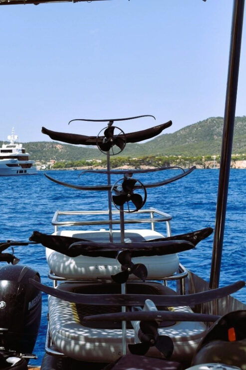 Efoil From Boat-1 Fliteboard (1 or 2 Riders Sharing) - Good To Know