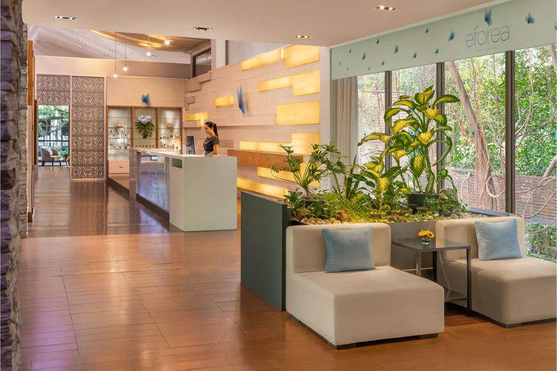 Eforea Spa Experience at Millennium Hilton in Bangkok - At a glance