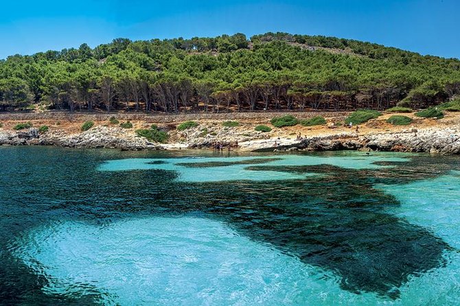 Egadi Sail Boat Tour to Favignana and Levanzo - Reviews
