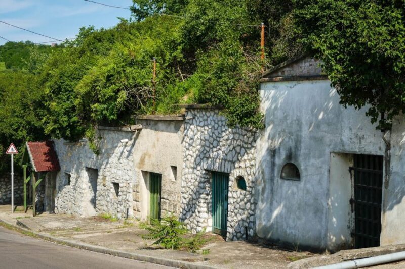 Eger, home to Bull's Bood, a private tour with winetaste - Good To Know