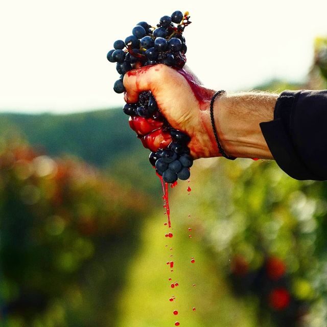 Eger, home to Bull's Bood, a private tour with winetaste - Final Thoughts: Is This Tour Worth It?