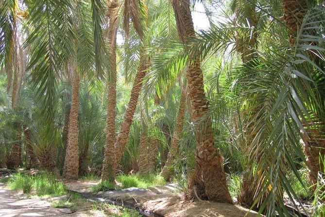 Egypt Countryside Trip - Transportation Options