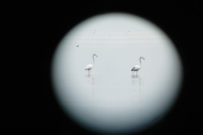 Egypt for Every One Round the World - Price and Guarantee