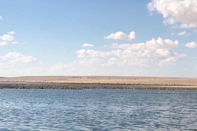 Egypt Oasis: Tour to El Fayoum Oasis and Wadi Al Rayan - Good To Know