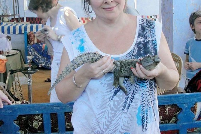 Egypt Tour Package-8 Nights Cairo,Luxor,Aswan&Abu Simbel,Nile Cruise,Air Balloon - Inclusions in the Tour Package