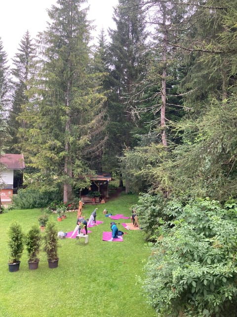 Ehrwald: Mountain Yoga Class - Good To Know