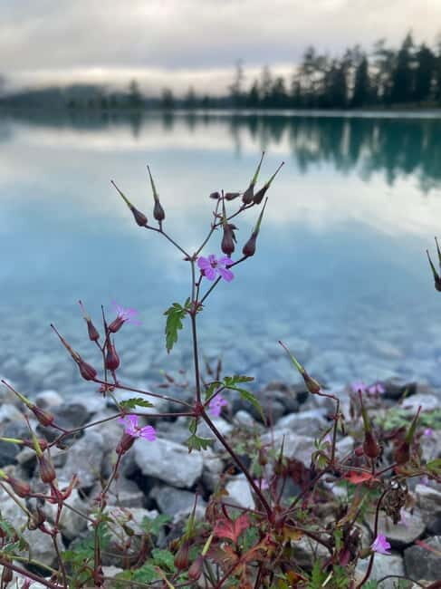 Ehrwald: Time to Relax-Outdoor Yoga in Mountain Scenery - Who Will Enjoy This Tour?