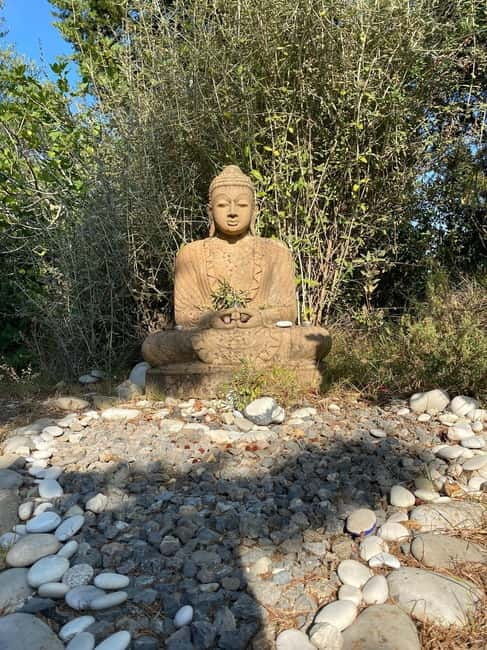 Ehrwald: Time to Relax-Yoga meets Mountain Tour - Good To Know