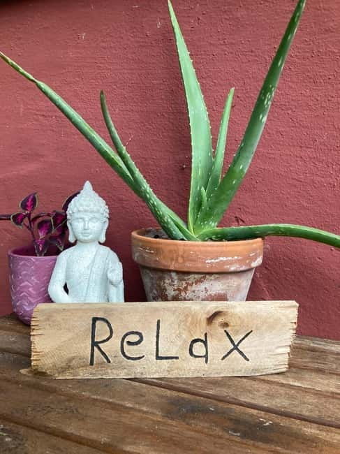 Ehrwald: Time to Relax-Yoga meets Mountain Tour - Who Should Consider This Tour?