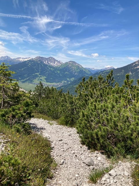 Ehrwald: Trail Running Tour - Booking Information