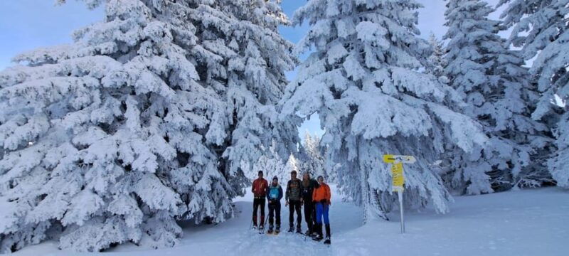 Ehrwald: Zugspitze Snowshoe Hiking Tour with Mountain Views - Why Snowshoe Hiking is a Great Winter Activity