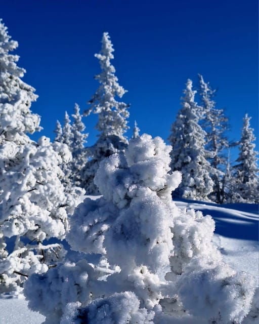 Ehrwald: Zugspitze Snowshoe Hiking Tour with Mountain Views - Whats Included and Whats Not?