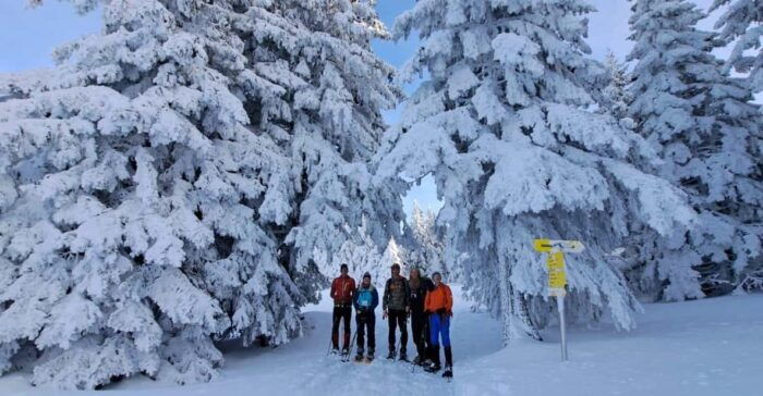 Ehrwald: Zugspitze Snowshoe Hiking Tour with Mountain Views - The Cost and Overall Value