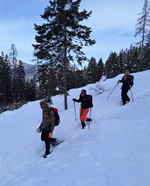 Ehrwald: Zugspitze Snowshoe Hiking Tour with Mountain Views - Who Would Love This Tour?