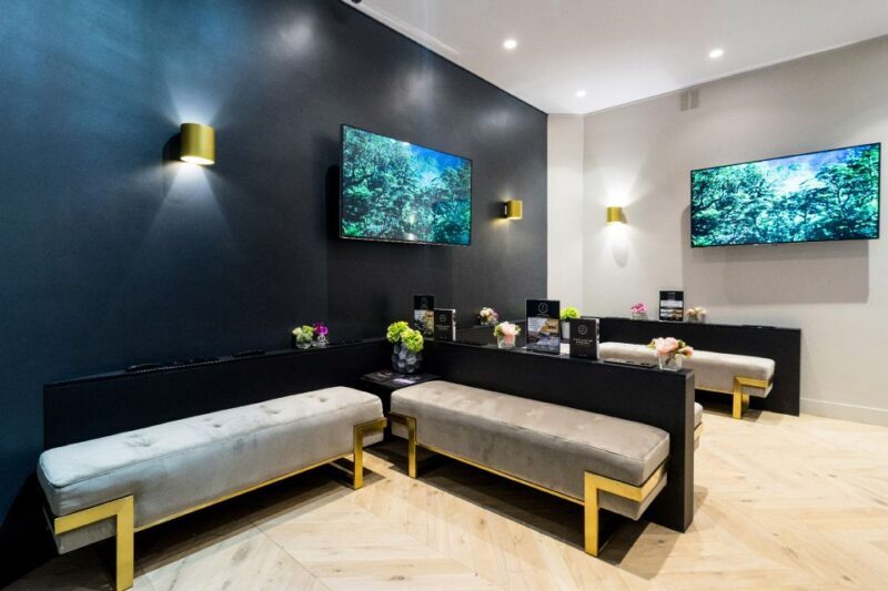 Eiffel Tower Dedicated Reserved Access Summit or 2nd Floor - Introduction