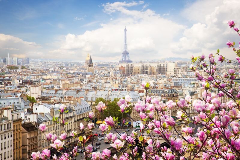 Eiffel Tower Elevator Guided Tour with Optional Summit Access - Who will enjoy this guided visit