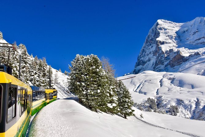 Eiger and Jungfrau Glacier Panorama Tour From Zurich - Common Questions