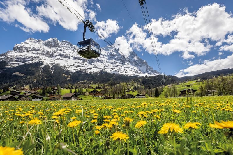 Eiger Express 3S Cable Car Ticket from Grindelwald Terminal to Eiger Glacier - Starting at Grindelwald Terminal