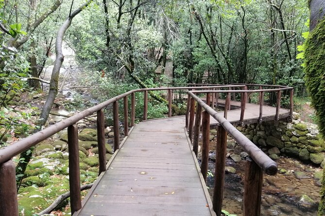 Eight Beautiful Locations Just Outside of Dubrovnik - Park Orsula: Panoramic View and Archaeological Site