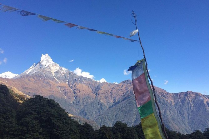 Eight-Day Small-Group Guided Trek in Annapurna Foothills - Kathmandu - The Sum Up