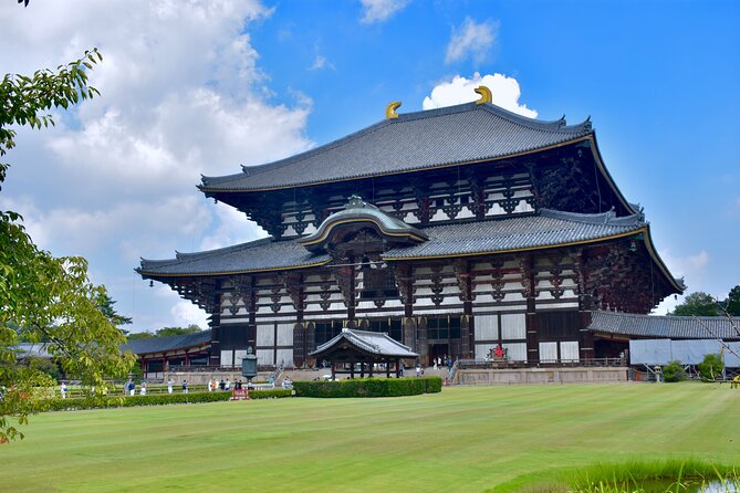Eigo Tour - Walk in Nara City - Inclusions and Services Provided