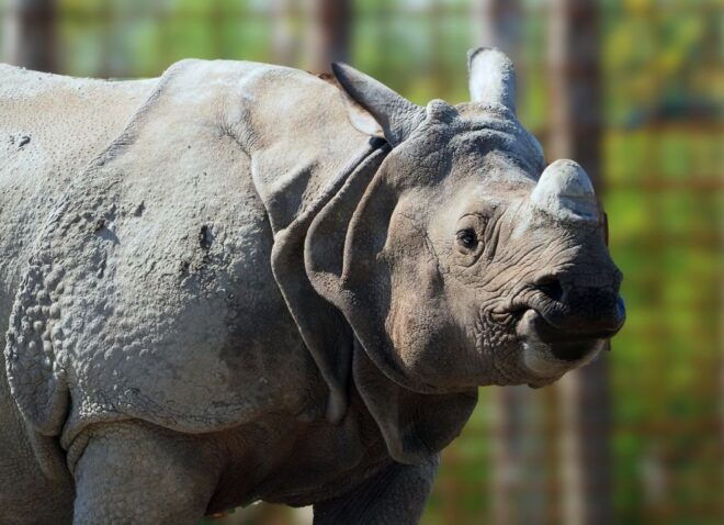 Eindhoven: Dierenrijk Zoo Entry Ticket - Selecting Participants and Checking Date Availability