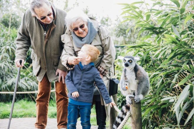 Eindhoven: Dierenrijk Zoo Entry Ticket - Customer Reviews and Visitor Feedback