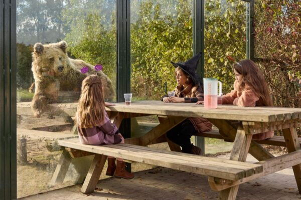 Eindhoven: Dierenrijk Zoo Entry Ticket - Common Questions