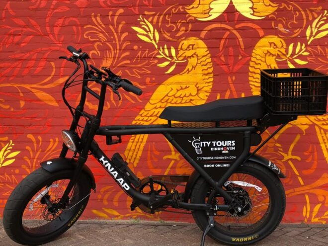 Eindhoven: E-Fatbike Tour the Footsteps of Vincent Van Gogh - E-Fatbike Details