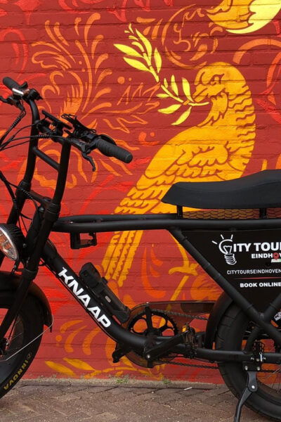 Eindhoven: E-Fatbike Tour the Footsteps of Vincent Van Gogh - Exploring Van Goghs Footsteps