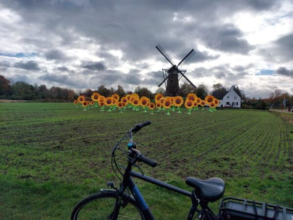 Eindhoven: E-Fatbike Tour the Footsteps of Vincent Van Gogh - Immersive Museum Experience