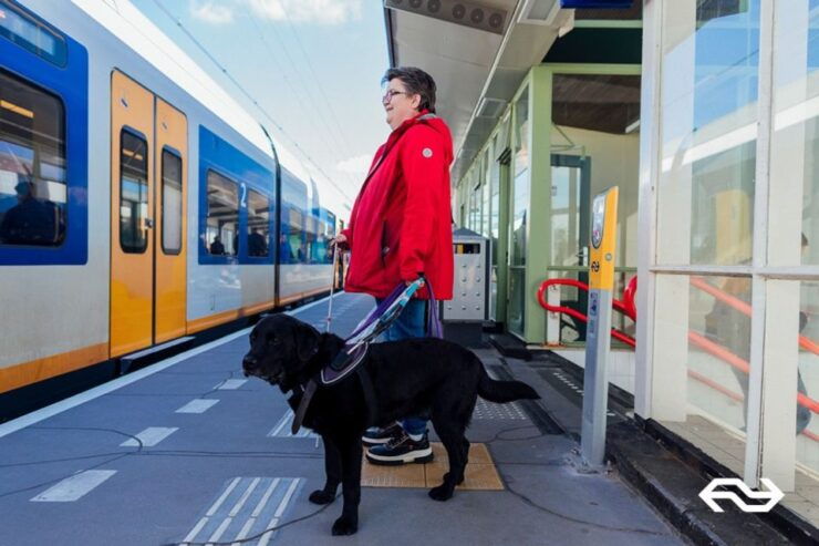 Eindhoven: Train Transfer Eindhoven From/To Den Haag - Highlights of the Eindhoven-Den Haag Train Connection