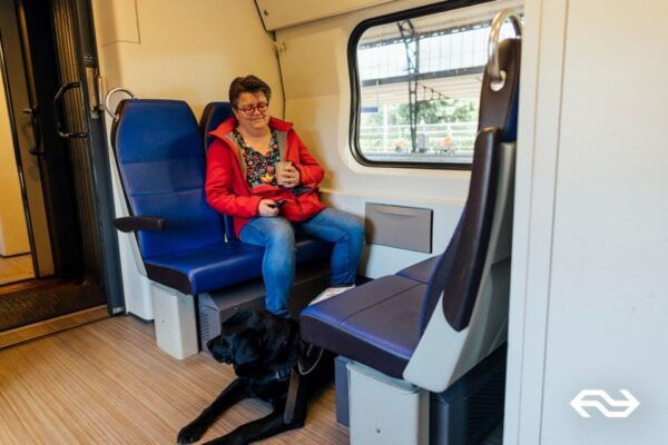 Eindhoven: Train Transfer Eindhoven From/To Rotterdam - Directions to Eindhoven Train Station