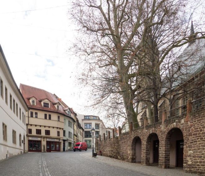 Eisleben: Private Guided Walking Tour - Booking Details