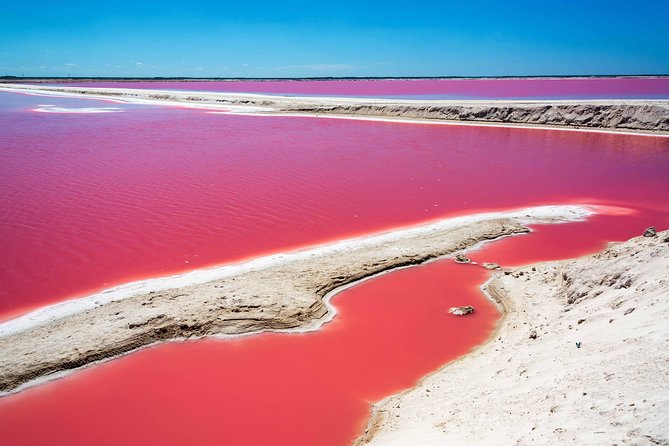 Ek Balam, Rio Lagartos and Las Coloradas Private Tour From Cancun - Pricing and Guarantee