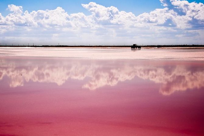 Ek Balam, Rio Lagartos and Las Coloradas Private Tour From Cancun - Tour Highlights