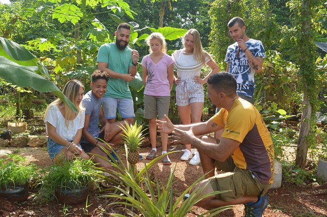 Ek Balam Tour From Cancun Including Cenote Maya Park - Contact and Booking Details