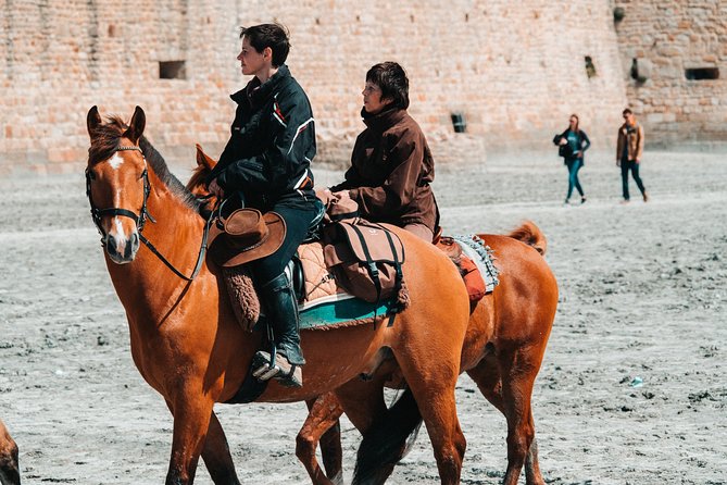 El Aljarafe Private Horseback Riding Half-Day Tour - Seville - Cancellation Policy and Terms & Conditions